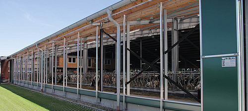 Ventilazione nella stalla da latte Ventilazione aperta su una stalla da latte