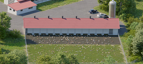 Moderni ricoveri per pollame - Soluzioni Lubratec per galline e galli Pollai all'avanguardia con le soluzioni Lubratec per galline e galli in salute